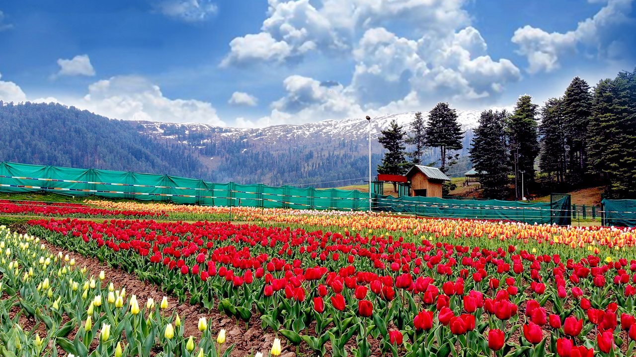 Book the Best Hotels in Srinagar